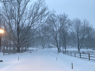 16 Choose to be Happy