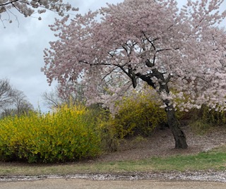 27 TIEMPO DE ESPERA 2