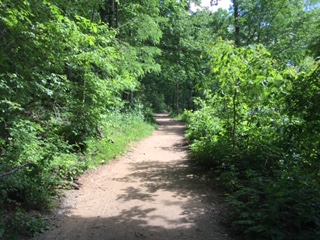 Conquistando a quien amas III camino